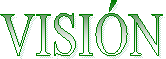 VISIÓN
