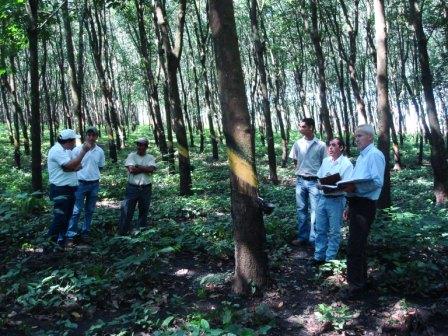 Misión de Campo
